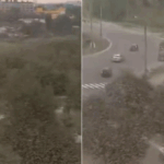 VIDEO: Pozrite sa, čo spôsobilo Rusko na Ukrajine. Invázia kobyliek ničí polia a dediny. Odborníci varujú pred kolapsom prírody